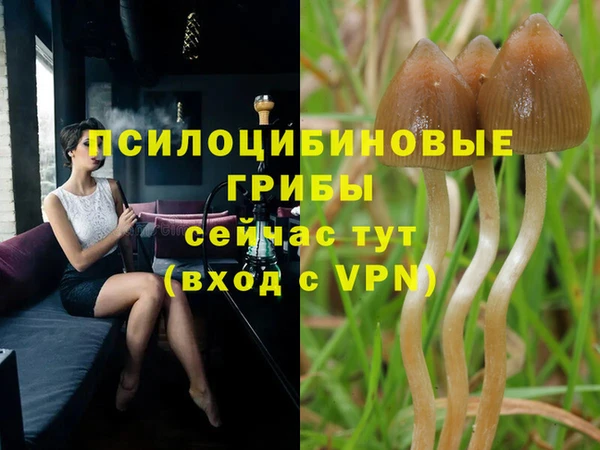 героин Осташков