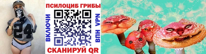 Псилоцибиновые грибы мицелий  Моздок 